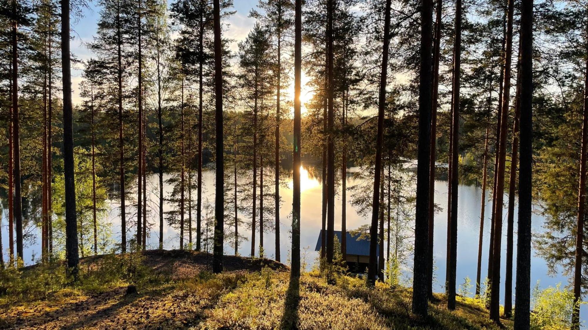 Ahvenlampi Camping Saarijärvi Εξωτερικό φωτογραφία