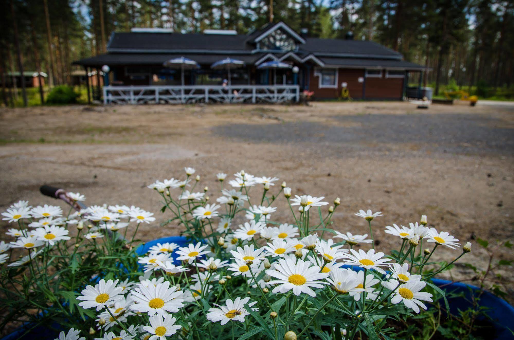 Ahvenlampi Camping Saarijärvi Εξωτερικό φωτογραφία